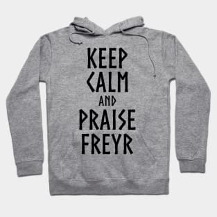 Medieval Norse Mythology Keep Calm And Praise Freyr God Hoodie